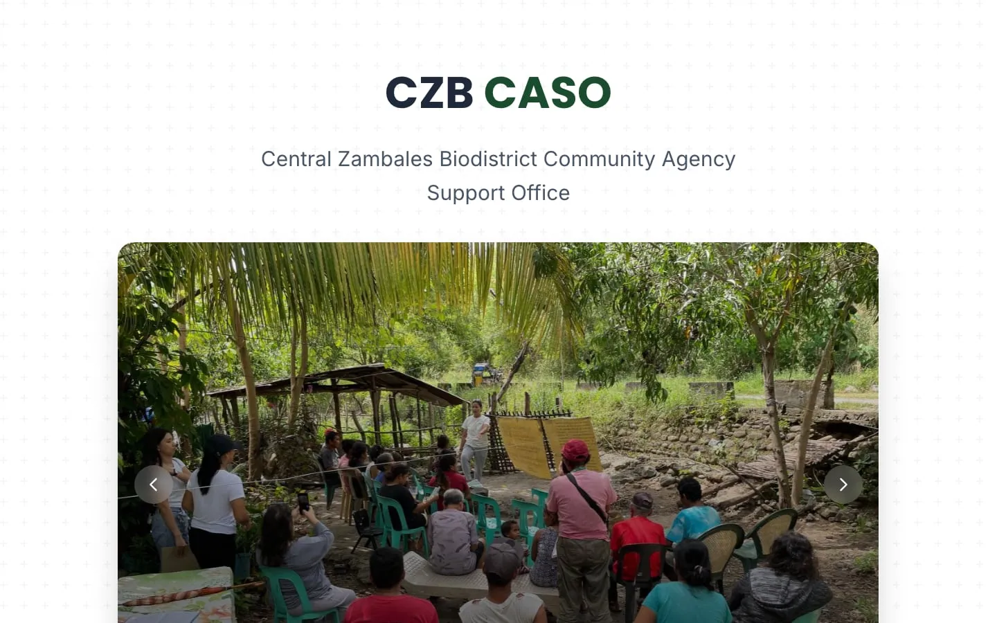Homepage of czb-caso.com